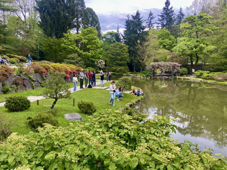 Humanities 103 students enjoy the sunshine and turtles at Seattle Japanese Garden